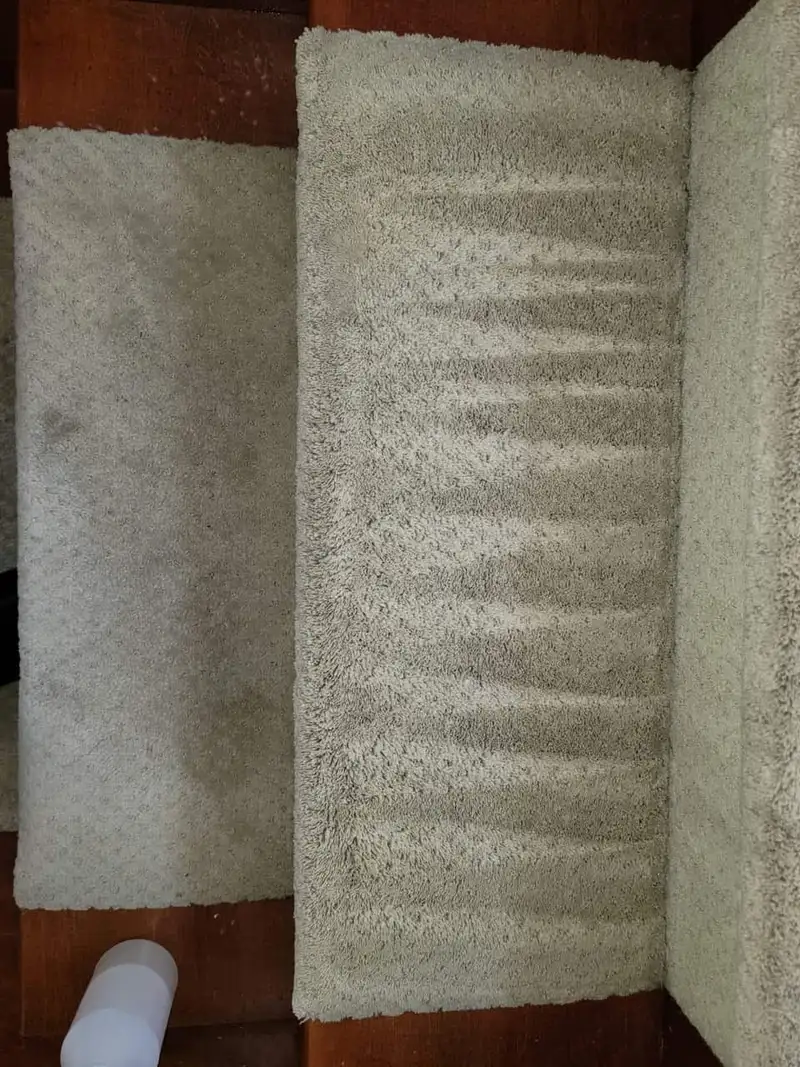 Real job photo: two cream shag rugs on a dark wooden step, the left one gray with dirt and the right one cleaned and combed.