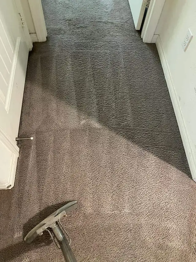 Real job photo: hallway with dark gray carpet, a diagonal line where the cleaned carpet begins, and the steel wand head at the bottom of the frame.