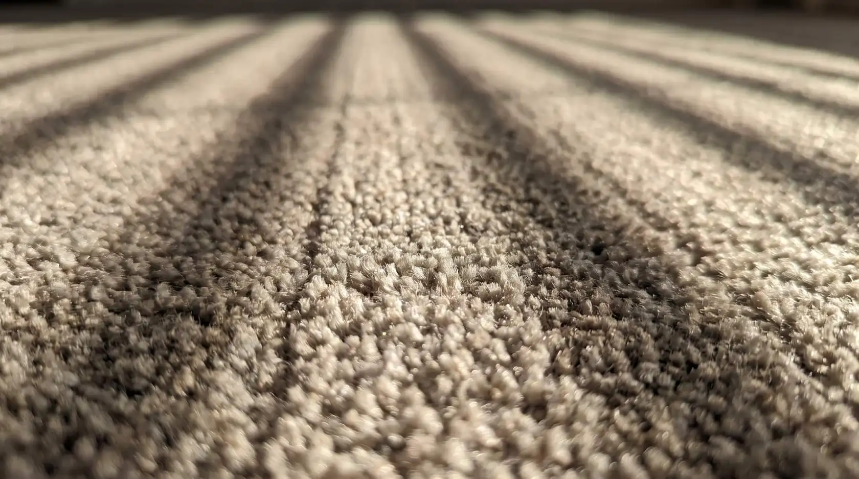 Illustration: a close view of carpet pile with lighter stripes where a cleaning pass has gone over it.